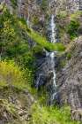 North Cascades NP, Washington. Waterfalls in springtime, trees and shrubs clinging to granite cliff Art Print